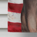 American Hairless Terrier American Flag Flag Canvas House Size CK6400CHF