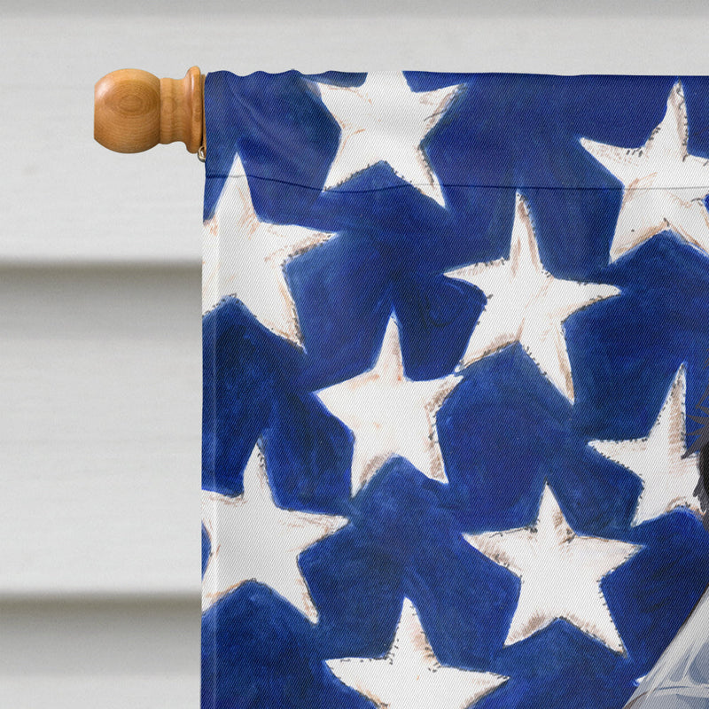 Dachshund Dog American Flag Flag Canvas House Size CK6500CHF