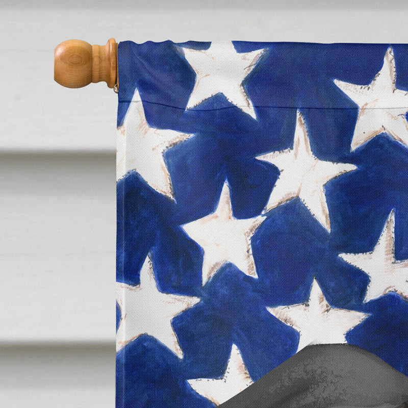 Kanni American Flag Flag Canvas House Size CK6585CHF