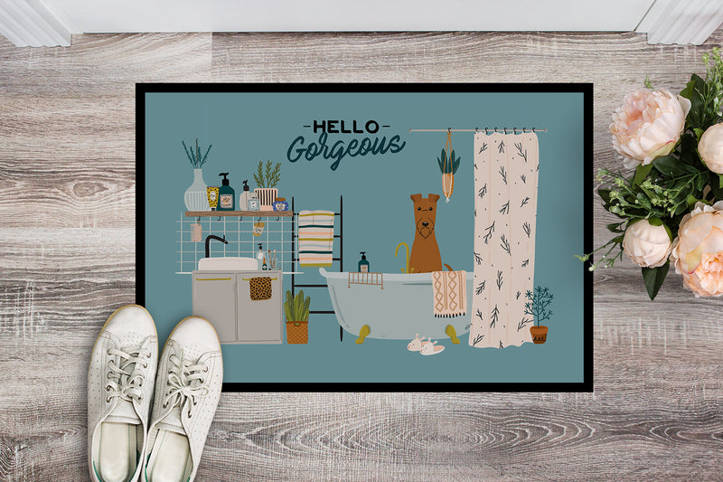 Irish Terrier in Bathtub Doormat - 18x27 Decorative Floor Mat – Indoor/Outdoor Rug with Artistic Flair CK7484MAT