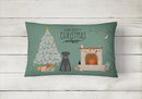 Black Standard Schnauzer Christmas Everyone Canvas Fabric Decorative Pillow CK7595PW1216