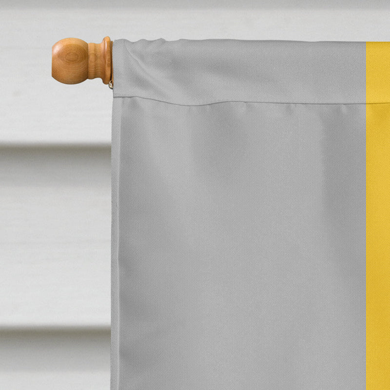 Lithromantic Pride Flag Canvas House Size