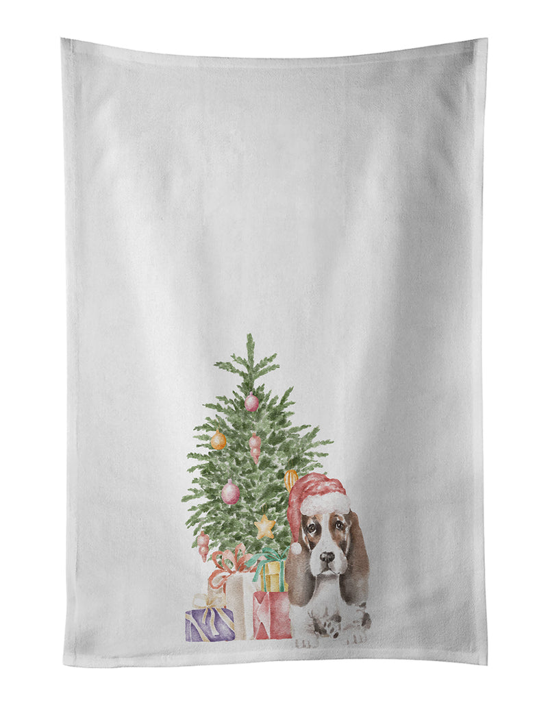 Basset Hound Puppy