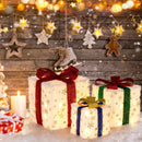 Set of 3 Christmas Lighted Gift Boxes with 48 Bright Warm Lights by LJGDeals