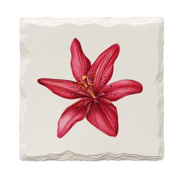 Lily Flower | Drink Coaster Set of 4 | Absorbent Ridged Ceramic with Cork Backing