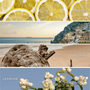 Coastal Lemon Hanging Air Freshener by Sweet Water Decor