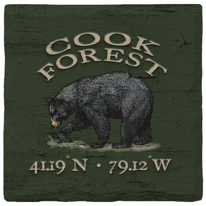 Cook Forest Black Bear Green Latitude Longitude Coaster Set