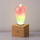 EP Light - Coral by EP Designlab LLC