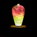 EP Light - Coral by EP Designlab LLC