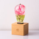 EP Light - Coral by EP Designlab LLC