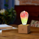 EP Light - Coral by EP Designlab LLC