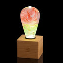EP Light - Coral by EP Designlab LLC