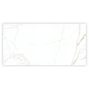 Bright White Gold 24x48 Polished Porcelain Large Format Tile (2 pack, 15.5 sq ft/case) - Sample