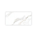 Bright White Gold 24x48 Polished Porcelain Large Format Tile (2 pack, 15.5 sq ft/case)