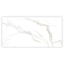 Bright White Gold 24x48 Polished Porcelain Large Format Tile (2 pack, 15.5 sq ft/case)