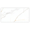Bright White Gold 24x48 Polished Porcelain Large Format Tile (2 pack, 15.5 sq ft/case)