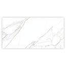 Bright White Gold 24x48 Polished Porcelain Large Format Tile (2 pack, 15.5 sq ft/case)