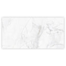 Bright White with Gray 24x48 Polished Porcelain Large Format Tile (2 pack, 15.5 sq ft/case) - Sample