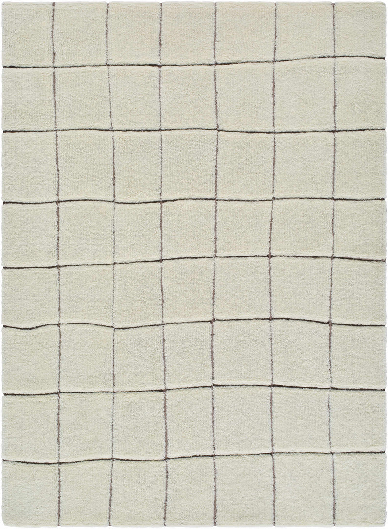 Caolan Washable Wool Rug