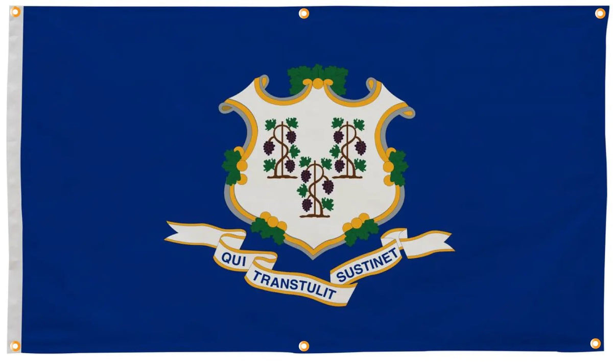Connecticut Flag with Grommets Along the Edges for Wall Hanging, photo 3 of 5