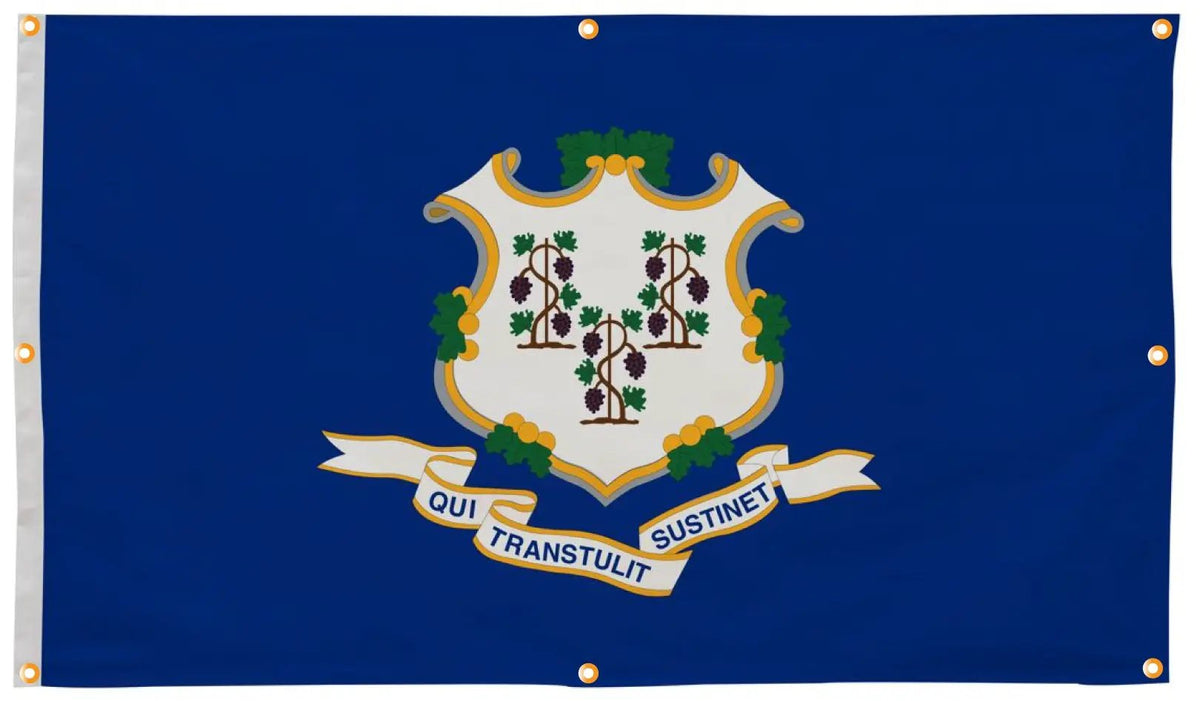 Connecticut Flag with Grommets Along the Edges for Wall Hanging, photo 4 of 5