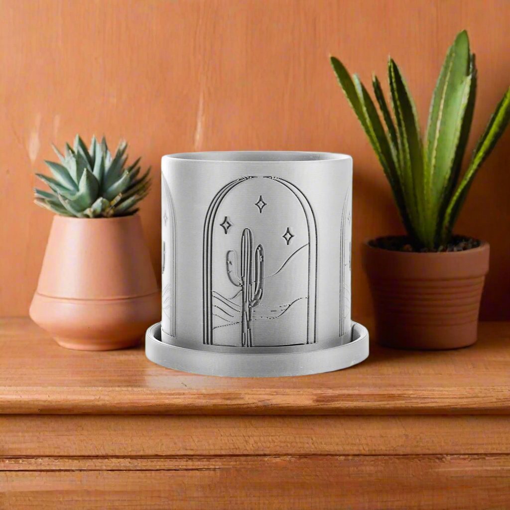 Cactus Planter, photo 6 of 8