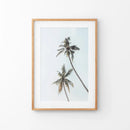 California Tropical Themed Wall Decor. Large Palm Trees by Wall Art Set