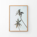 California Tropical Themed Wall Decor. Large Palm Trees by Wall Art Set