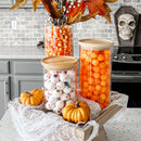 Glass Canister Set with Lids by Decor Steals