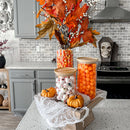 Glass Canister Set with Lids by Decor Steals