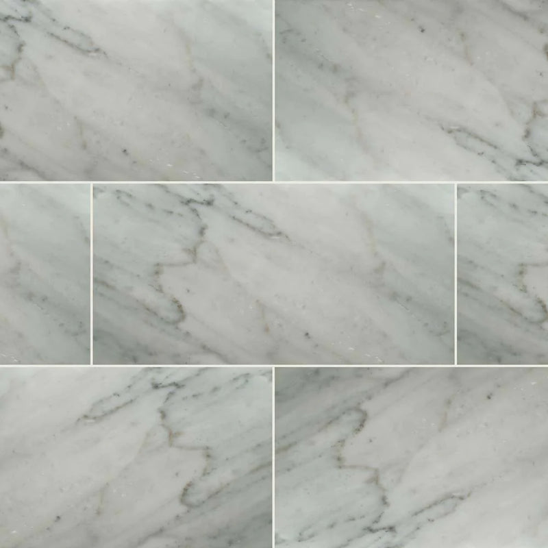 MSI Carrara White Marble Wall and Floor Tile