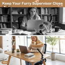 Cat Desk Bed with Removable Padded Cushion for Indoor Cats by LJGDeals