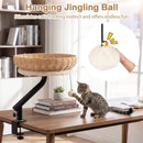 Cat Desk Bed with Removable Padded Cushion for Indoor Cats by LJGDeals