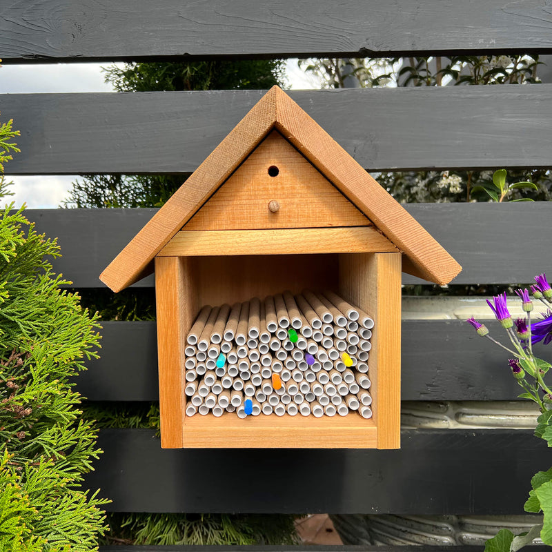 Chalet Cedar Bee House