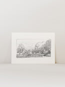 Charcoal Trees 1