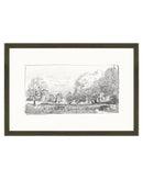Charcoal Trees 1