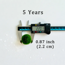 Sample Marimo Moss Balls For Aquarium Multiple Size - Kokedama Japanese Algae Ball by Moss Artistry