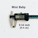 Live Moss Balls Mini Baby 0.3-0.5cm 5/10/20/50PCS Marimo Moss Balls Aqua Plant Pet Petco by Moss Artistry