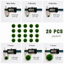 Marimo Moss Ball Aquarium 6-12 Month 0.8-1.5cm Marimo Moss Balls: 5/10/20/50PCS by Moss Artistry