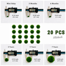 Live Moss Balls Mini Baby 0.3-0.5cm 5/10/20/50PCS Marimo Moss Balls Aqua Plant Pet Petco by Moss Artistry