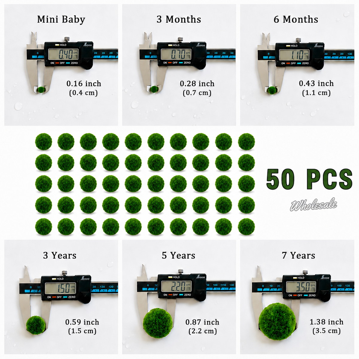 Marimo Moss Ball Aquarium 6-12 Month 0.8-1.5cm Marimo Moss Balls: 5/10/20/50PCS, photo 13 of 17