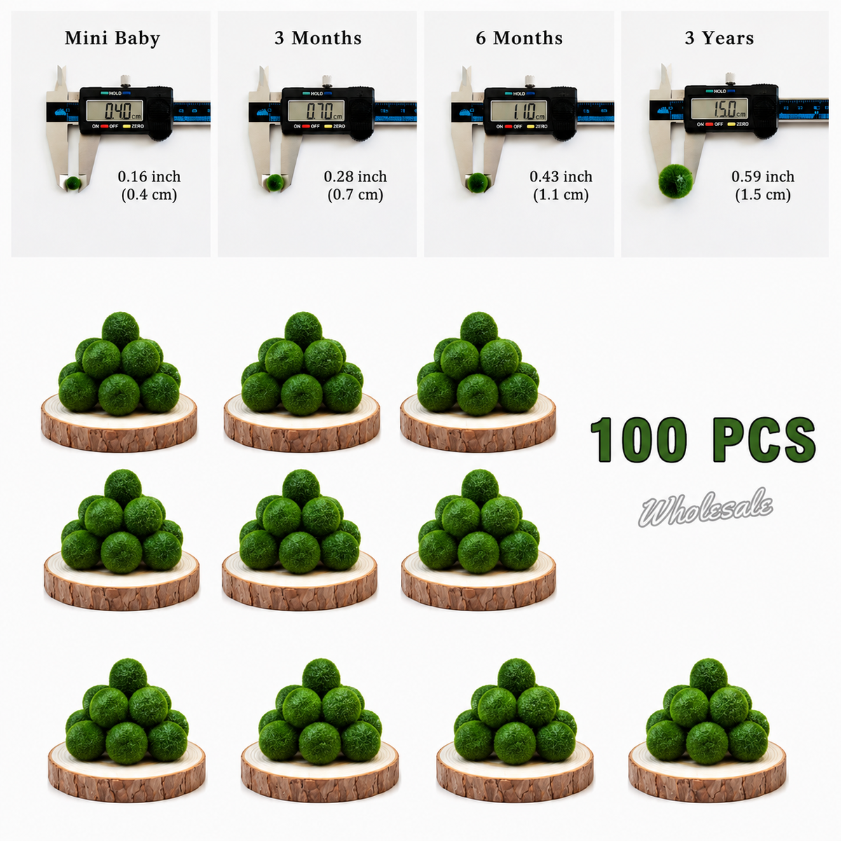 Marimo Moss Ball Aquarium 6-12 Month 0.8-1.5cm Marimo Moss Balls: 5/10