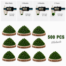 Marimo Moss Ball Aquarium 6-12 Month 0.8-1.5cm Marimo Moss Balls: 5/10/20/50PCS by Moss Artistry
