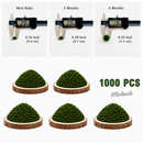 Marimo Moss Ball Aquarium 6-12 Month 0.8-1.5cm Marimo Moss Balls: 5/10/20/50PCS