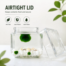 800ml Glass Container 1-Quart Jars with Glass Lids by Moss Artistry