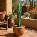 Peruvian Apple Cactus by The Cactus Outlet