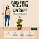 Funny Bunny Prickly Pear by The Cactus Outlet