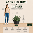 Arizona Smiles Agave by The Cactus Outlet