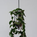 Portico Planter