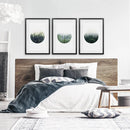 Nordic Forest Circle Wall Art. Set of 3 Scandinavian Prints by Wall Art Set